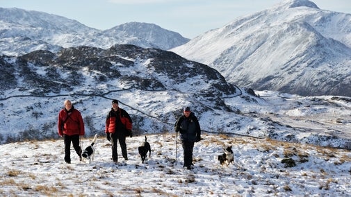 Walkers with their dogs hiking through the snow on the fells around Watendlath on a clear day.
